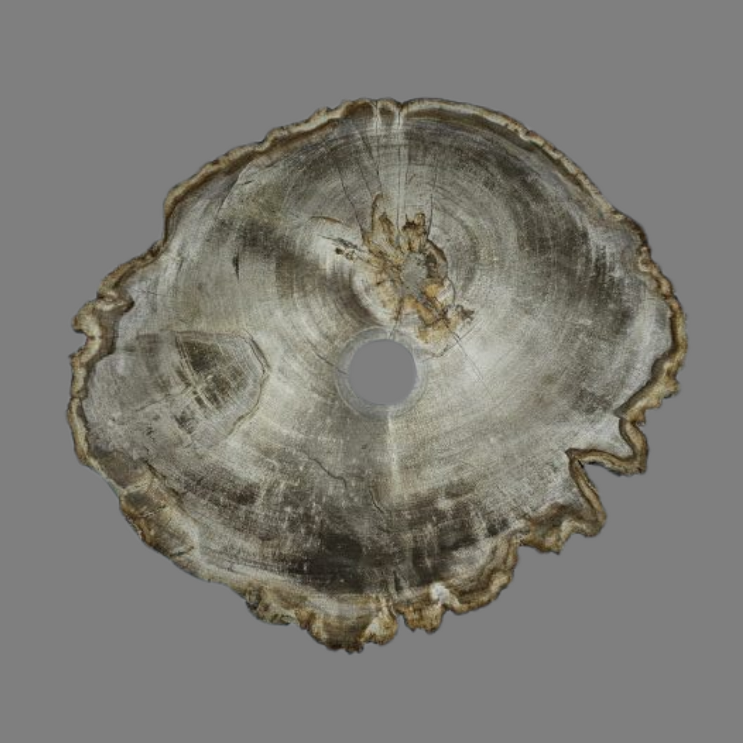 Small Petrified Wood Sink