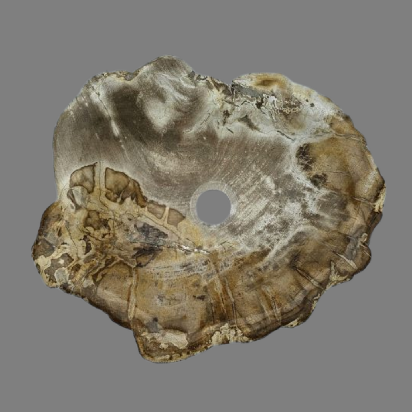 Medium Petrified Wood Sink