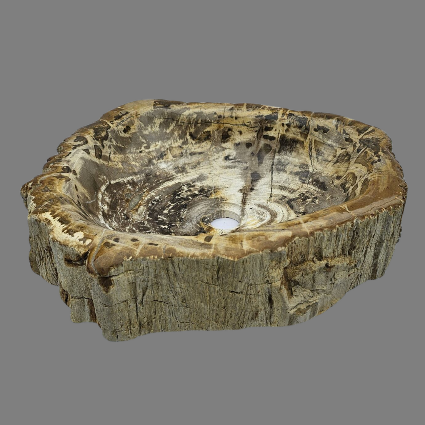 Large Petrified Wood Sink