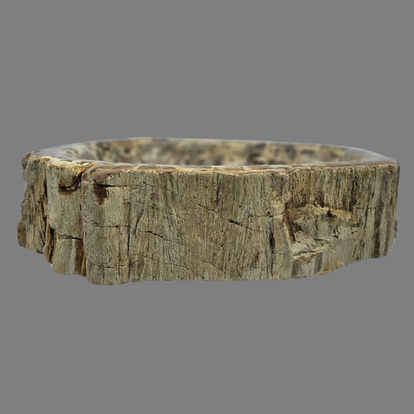 Large Petrified Wood Sink
