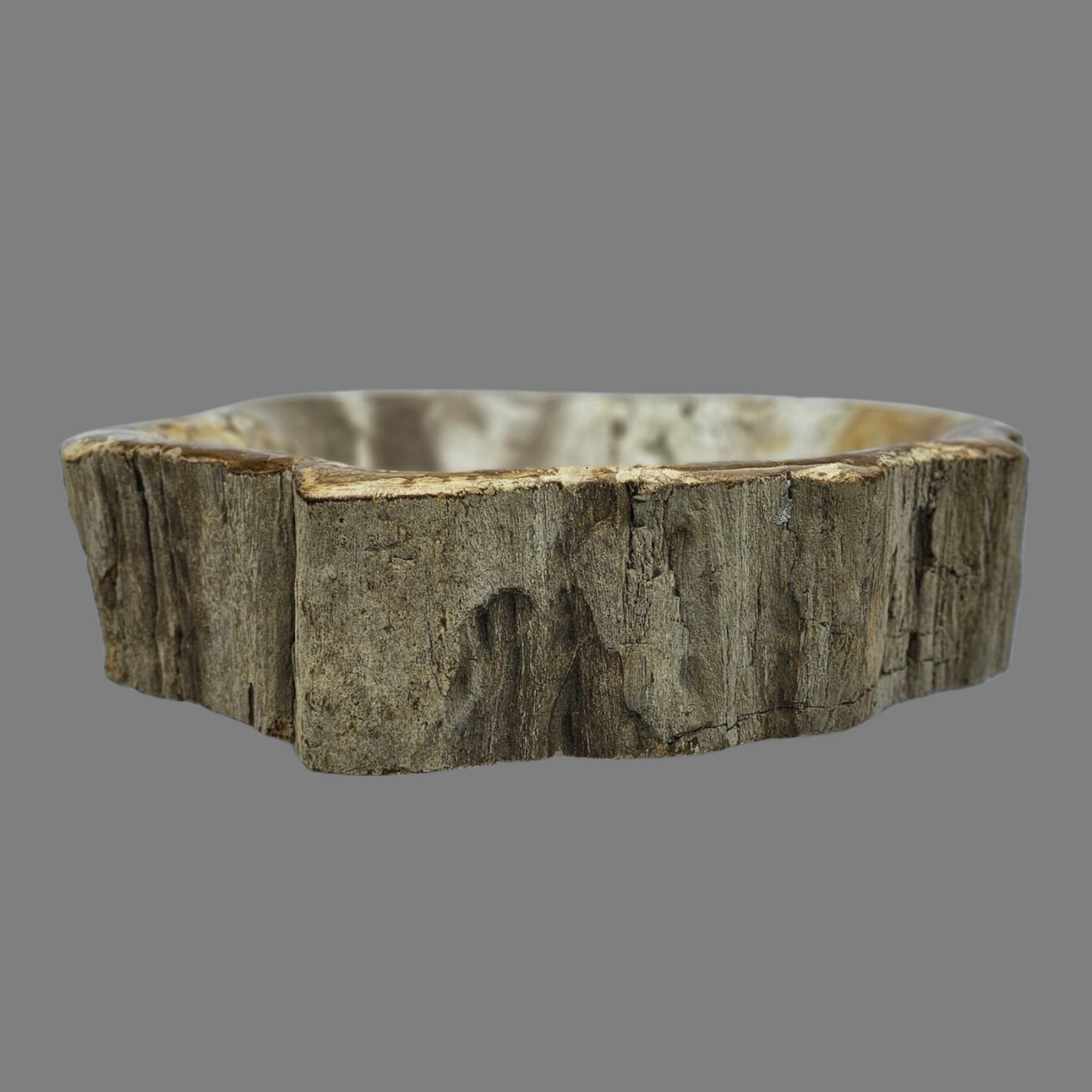 Medium Petrified Wood Sink