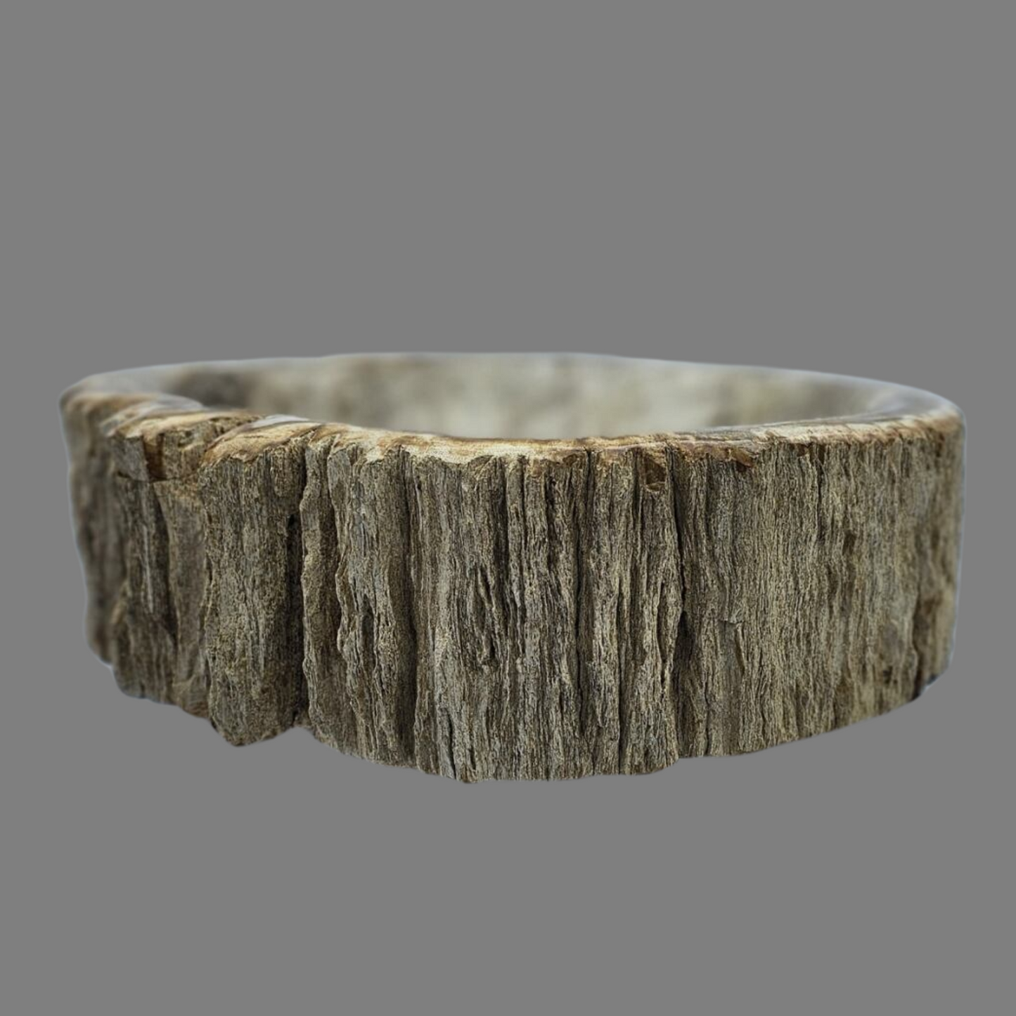 Small Petrified Wood Sink