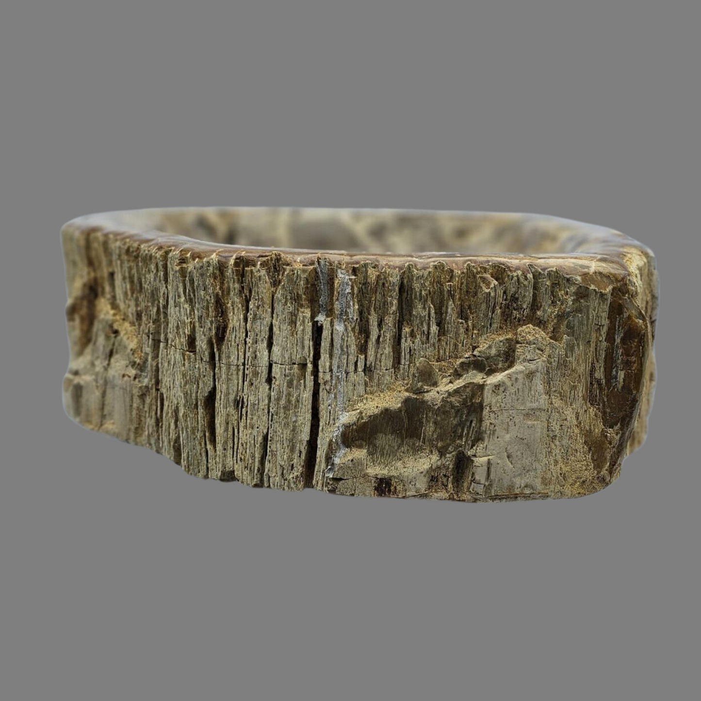Large Petrified Wood Sink