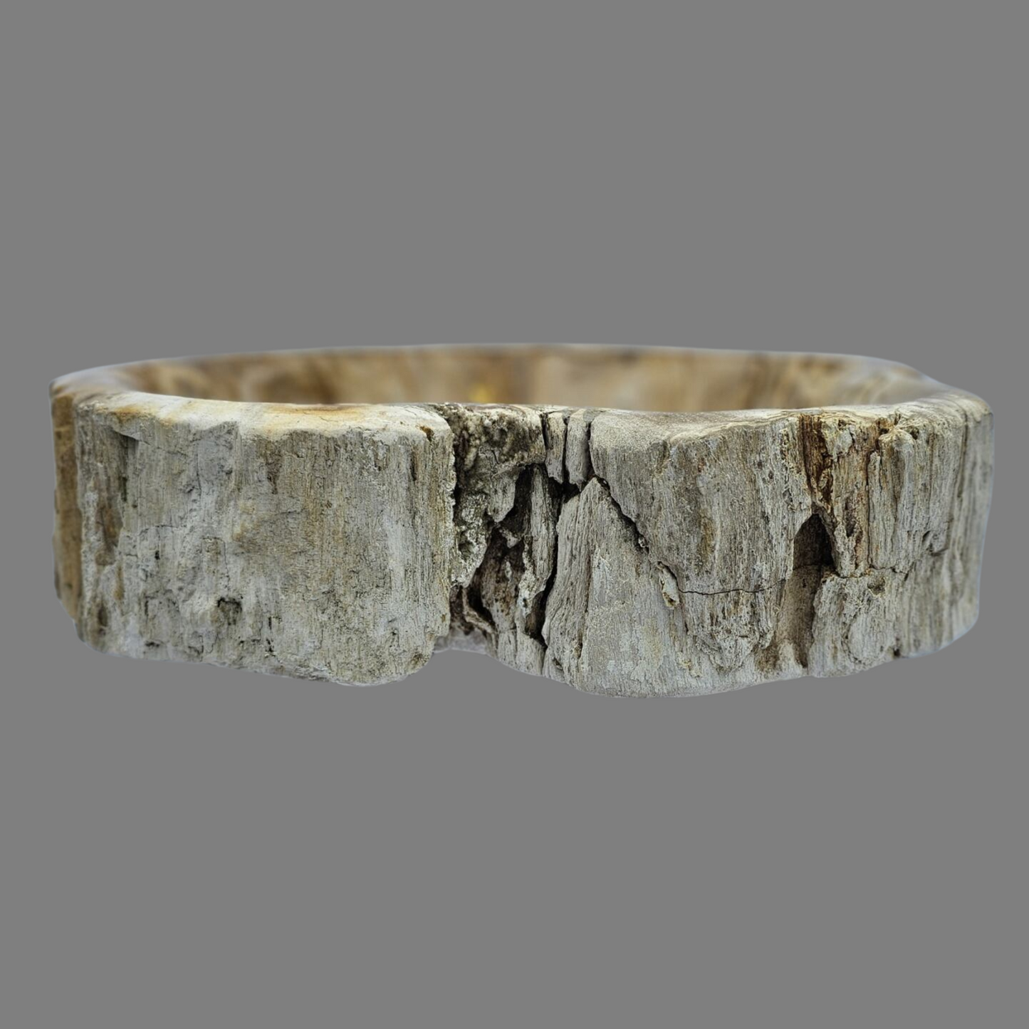 Medium Petrified Wood Sink