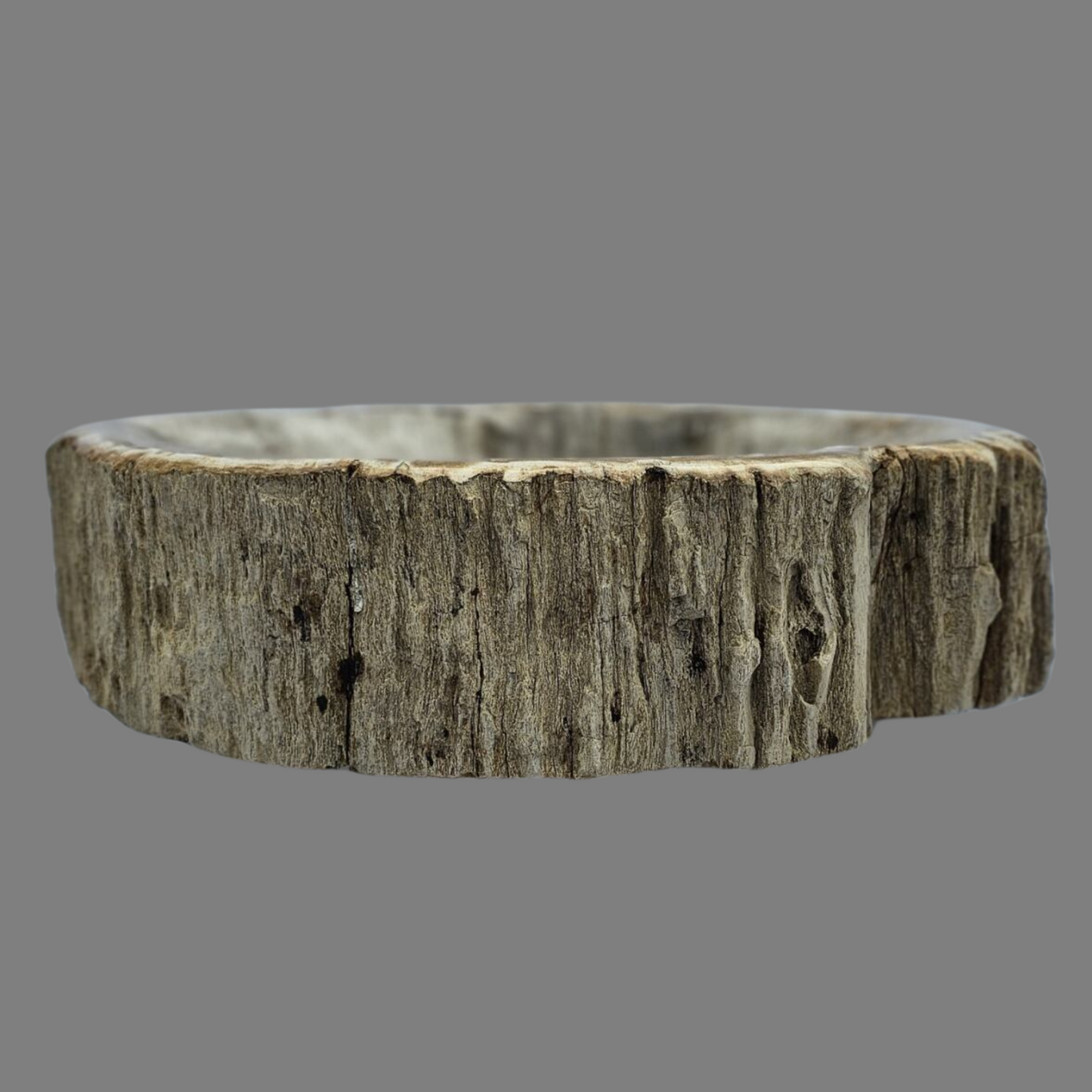Small Petrified Wood Sink