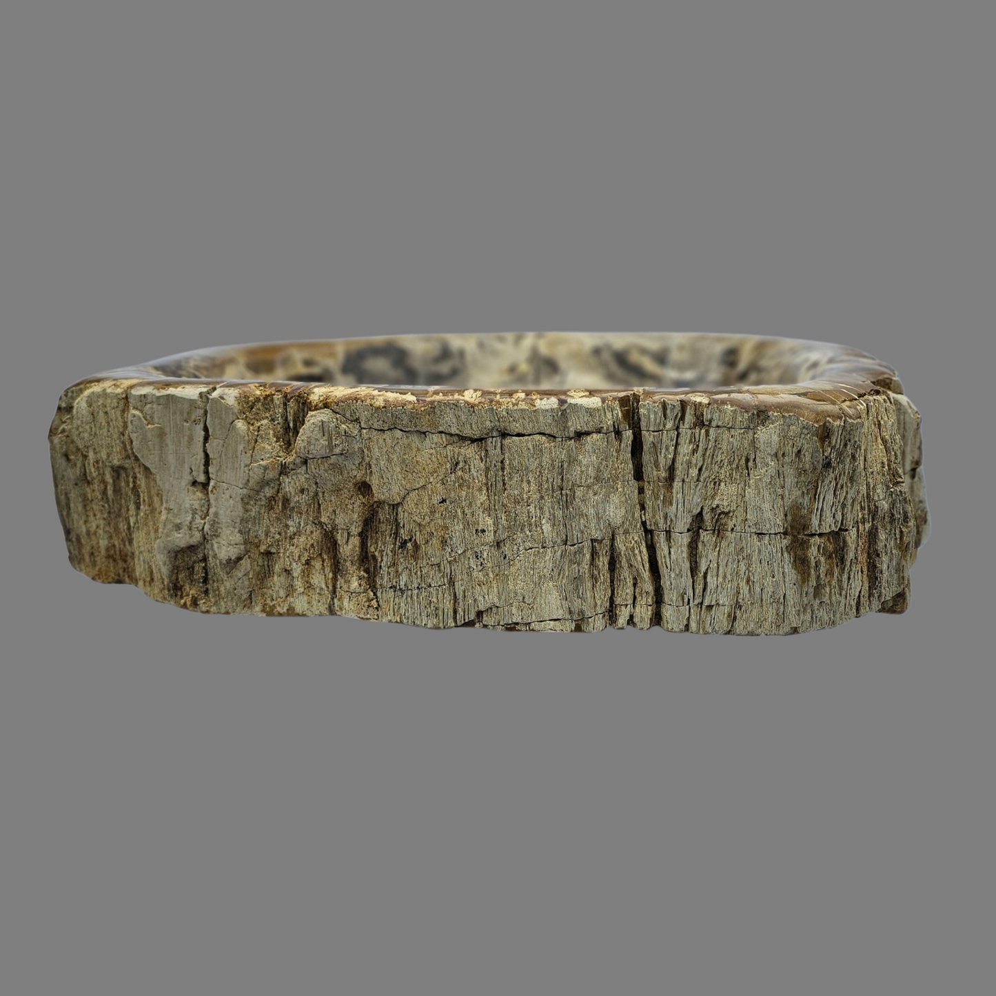Large Petrified Wood Sink
