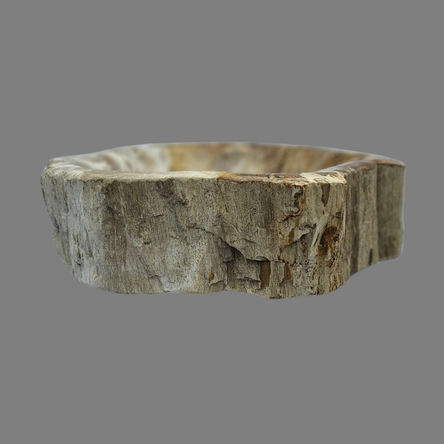 Medium Petrified Wood Sink