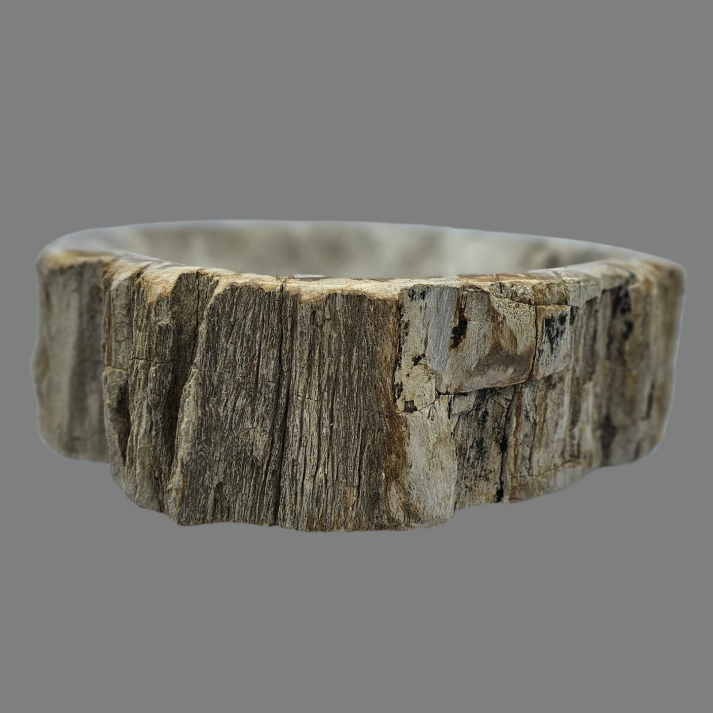 Small Petrified Wood Sink