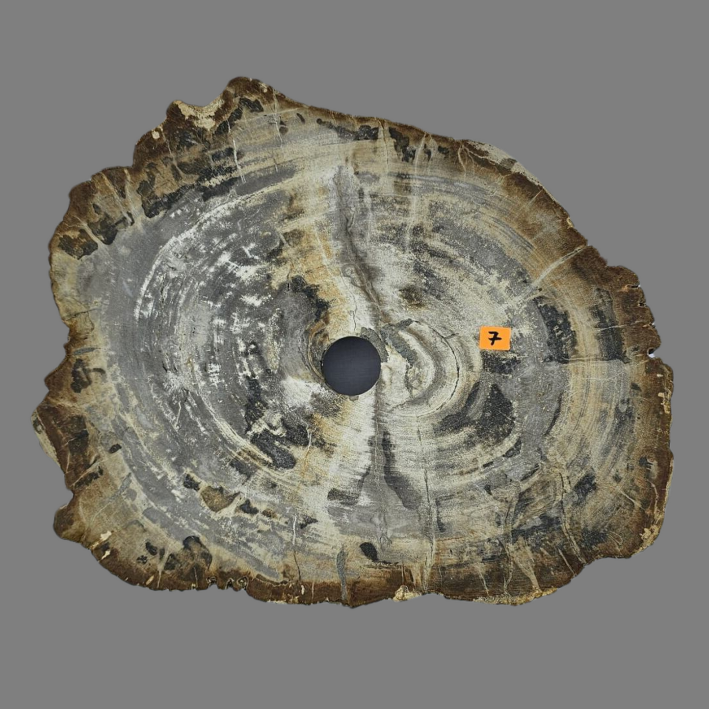 Large Petrified Wood Sink