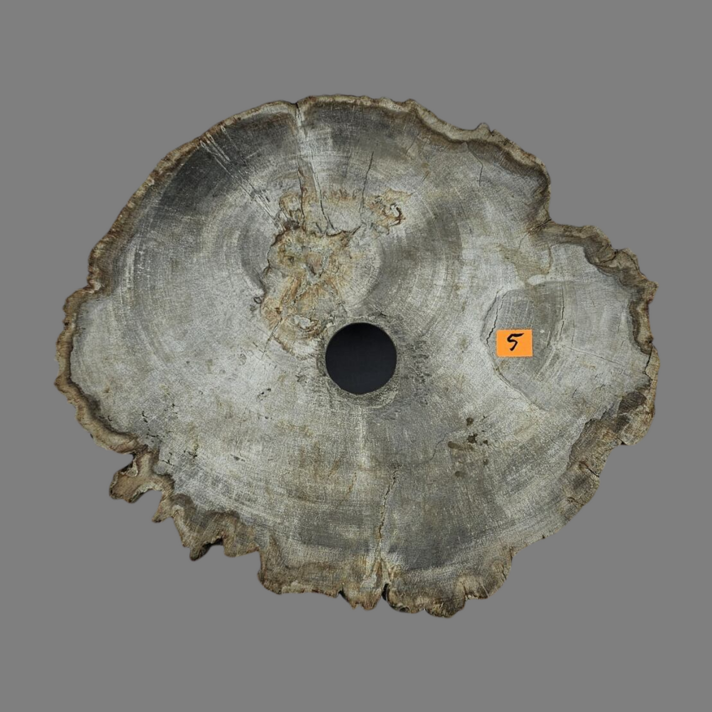 Small Petrified Wood Sink