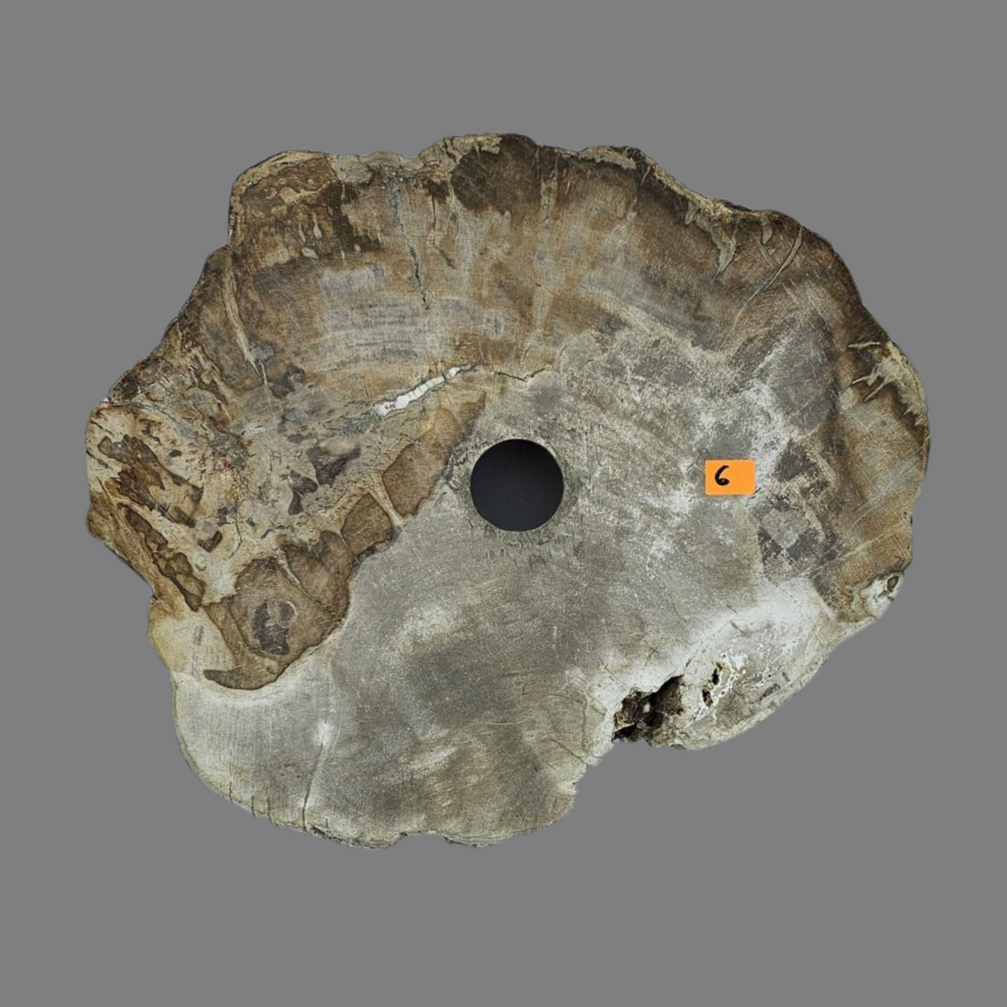 Medium Petrified Wood Sink