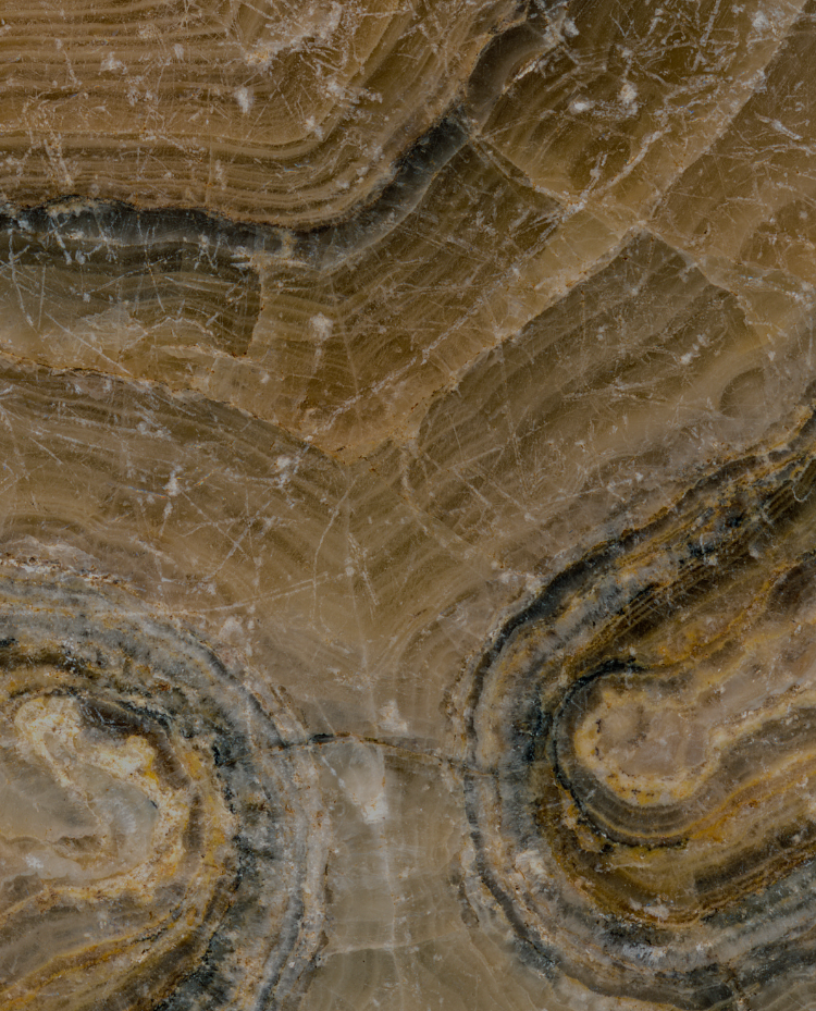 How to Take Care of Your Petrified Wood Sink