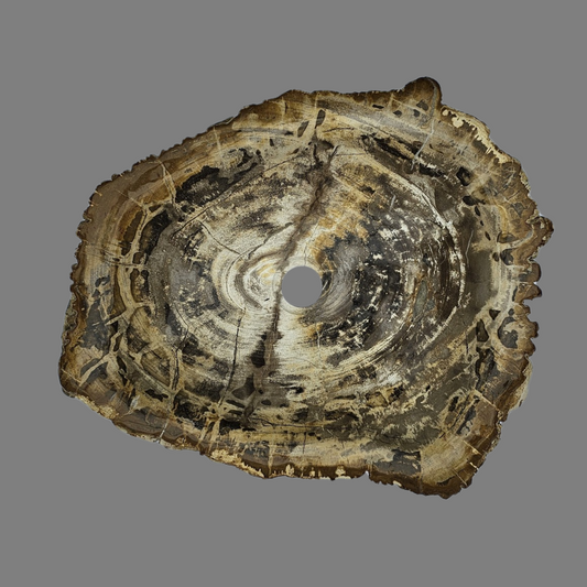 Large Petrified Wood Sink
