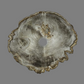 Small Petrified Wood Sink