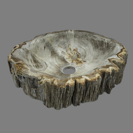 Small Petrified Wood Sink