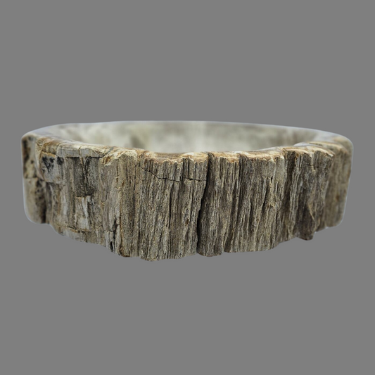 Small Petrified Wood Sink