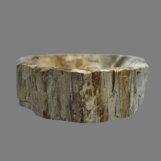 Medium Petrified Wood Sink